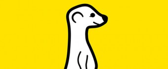 What is the Meerkat app?