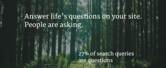 Searchers type their questions in the search box