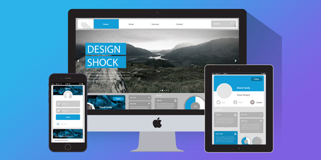 Website Design 
