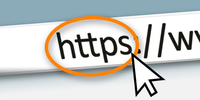 HTTPS Browser