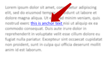 Anchor Text