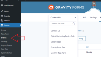Gravity Forms Menu -Entries
