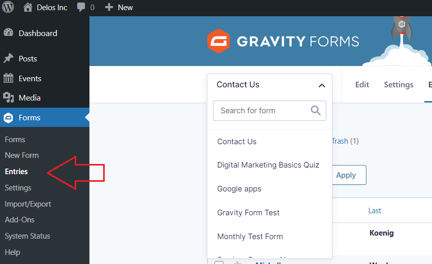 Gravity Forms Menu -Entries