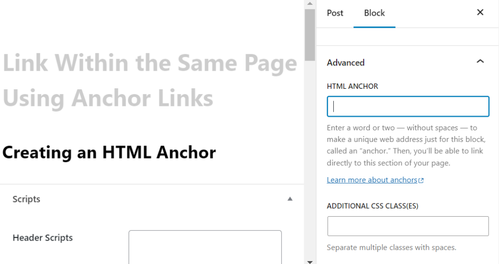 html anchor field